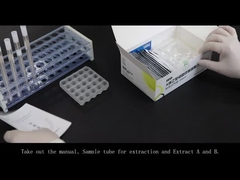 Colloidal Gold의 실험적 작동 가이드