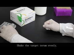 MP-이그텀 항체 (아교질금)의 탐지를 위한 신속 시험