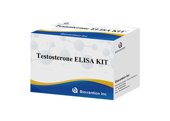 실험실 또는 병원 고 정밀 페르 테스토스테론 무료 테스 ELISA 테스트 키트