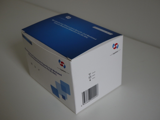 결핵-IGRA 엘리사 검사 결핵 진단 결핵 진단 인터페론 감마