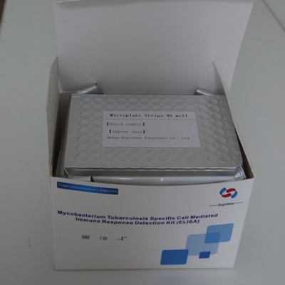 IGRA TB Elisa 검사는 Tb 진단 결핵 진단 인터페론 감마 동안 이그라를 장비를 답니다