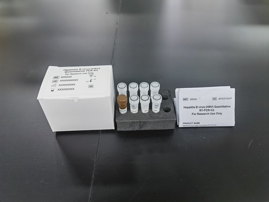 HBV PCR 수량 화학 및 의약품 ELISA 테스트 키트