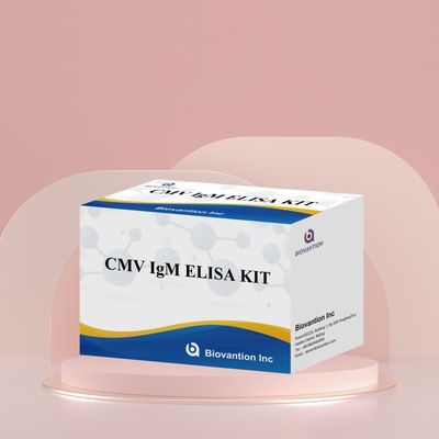 실험실 또는 병원 고정도 CMV IgG Elisa 테스트 키트