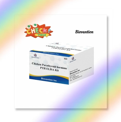 PTH ELISA 테스트 키트 치킨 효소 결합 면역 흡수 부신 갑상선 호르몬 혈청