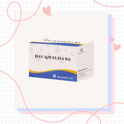 HAV IgM Elisa 테스트 간염 A 진단 키트
