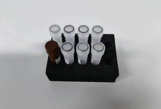 뎅기열 PCR 검사 고품질, 48 테스트