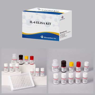 인테르루킨-6 인체 엘리사 테스트 키트 (Interleukin-6 Human Elisa Test Kit) 는 질적 검출에 99%의 정확성과 24개월의 유효기간을 가지고 있습니다.