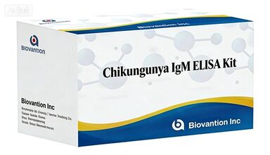 치킨구냐 IgG ELISA 키트 인 비트로 진단용 반응기