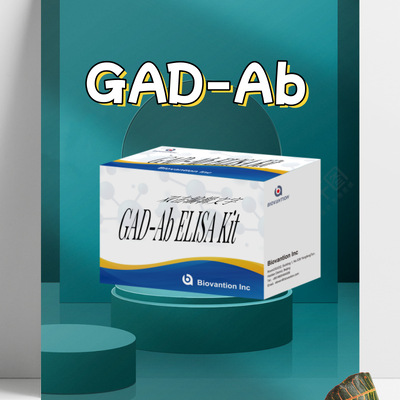 안티-GAD ELISA 키트 인성 글루타민산 디카복시라제 자가 항체 ELISA 키트 GAD-Ab / GAD65 자가 항체 효소 연결 면역 흡수 검사 키트