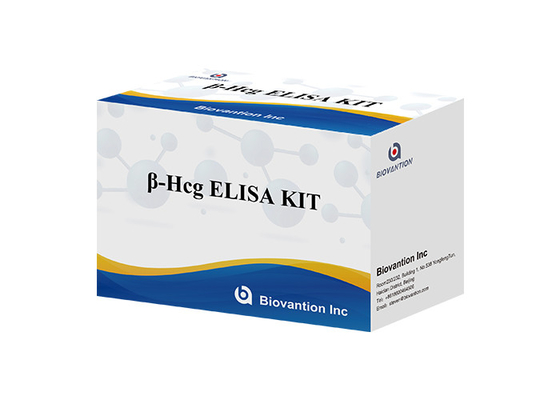 β-HCG 엘리사 검사 키트