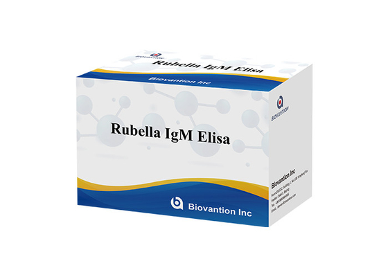 실험실 또는 병원 고정도 루벨라 IgM ELISA 테스트 키트