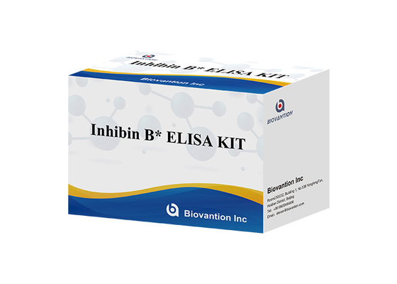 실험실 또는 병원 고정밀 인히빈 B 면역 검출 ELISA 테스트 키트