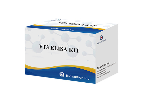 FT3 Elisa 시험 키트 110 분 자유 트리요오도티로닌 T3 무료 혈액 검사