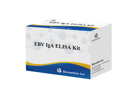 EBV-VCA IgA AB 시험 elisa 장비 효소 면역 측정법 검사 플라즈마 표본