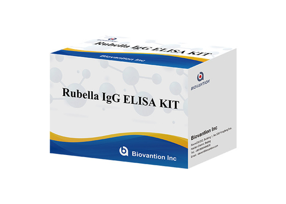 실험실 또는 병원 고 정확성 Rubella IgG ELISA 테스트 키트