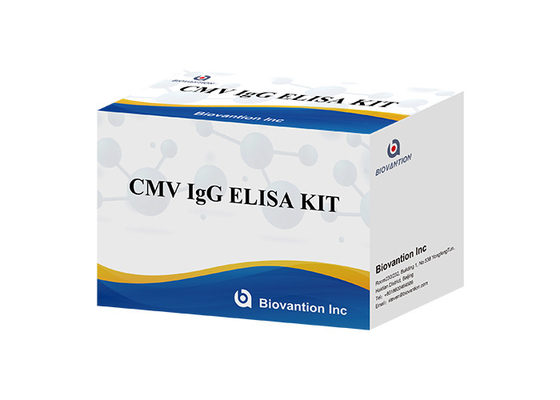 실험실 또는 병원용 고정도 IgG 항체 사이토메갈로바이러스 ELISA 테스트 키트