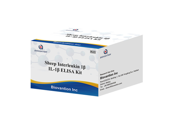 양 인터로이킨 1 베타 elisa 장비 IL1F2 ELISA 루오 시험 키트 Il1b elisa 장비