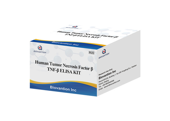 TNFB TNFSF1 림포톡신 알파 LTA elisa 장비 인간 종양 괴사 인자 베타