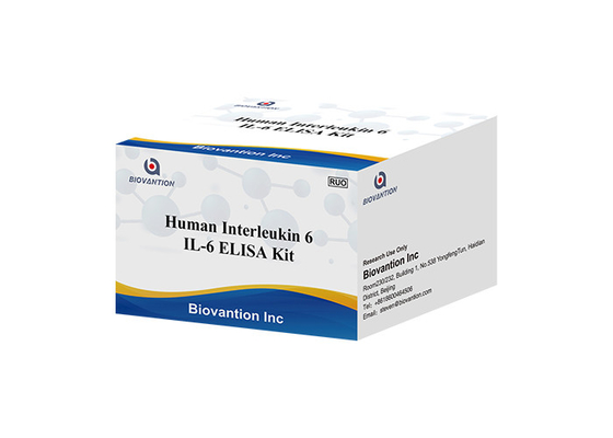 인간 인터로이킨 6 루오 시험 키트 IL-6B-cell 자극 인자 2 BSF-2 IFNB2