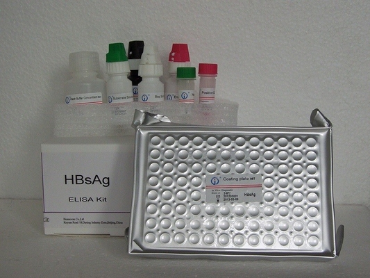 ELISA 검출 반응기 키트 높은 정확성 HBsAg Elisa 테스트 키트