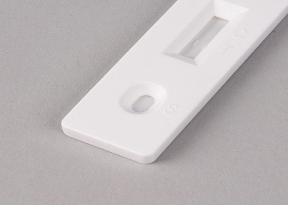 COVID-19 항원 시험 키트