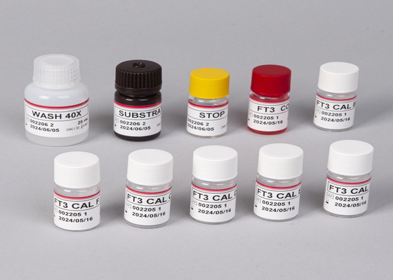 β-HCG 엘리사 검사 키트