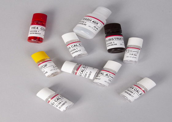 알파 태아 단백 AFP ELISA 검사 키트