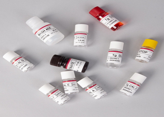E2 ELISA 테스트 키트 생체 검출 의료 검출 고정도