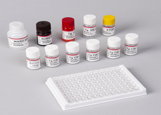 E2 ELISA 테스트 키트 생체 검출 의료 검출 고정도