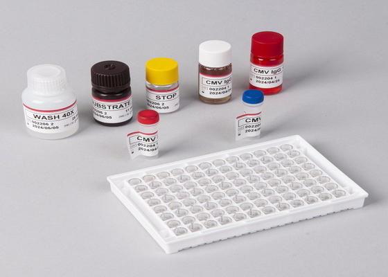 병원, 의료센터, 자기 고정도 항-TP ELISA 테스트 키트