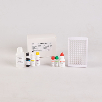 인간 TNF-α ELISA 키트 RUO 테스트 키트/ 인간 종양 Nekrosis 요인 ELISA 키트