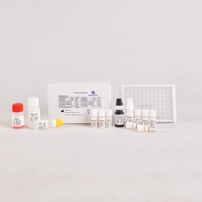 실험실 또는 병원용 고정도 H.Pylori IgG Elisa 테스트 키트