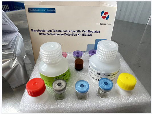 결핵- 인터페론 감마 방출 검사 항체 엘리사 키트 TB-IGRA