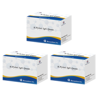 H.Pylori IgG Quant. Biovantion의 엘리사 키트 원산지 엘리사 테스트 키트 포맷 키트