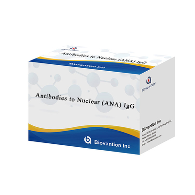 핵 (ANA) IgG ELISA 검사형 ELISA 키트