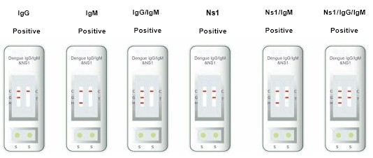 병원, 의료센터, 자체 고정도 한 단계 덩구 IgG &amp; IgM 테스트 키트