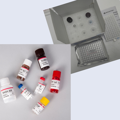 96T의 인간 MEPI Elisa Kit