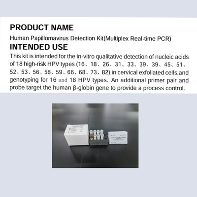 인간 유두종 바이러스 검출 키트 멀티플렉스 실시간 PCR