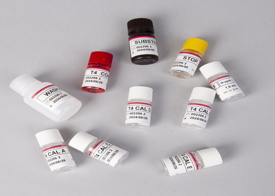 티록신 T4 ELISA 검출 키트