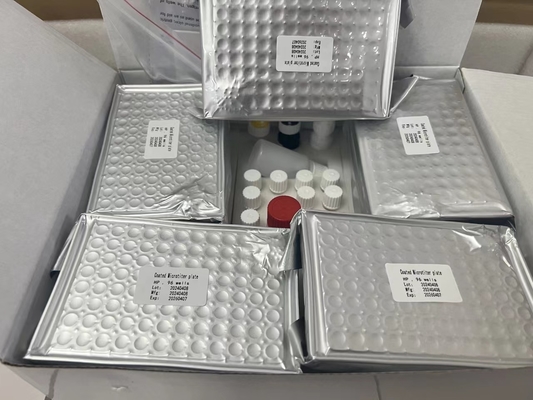 H 피로리 ELISA 테스트 키트 480테스트/키트 엘리사 스크리닝 키트 결과