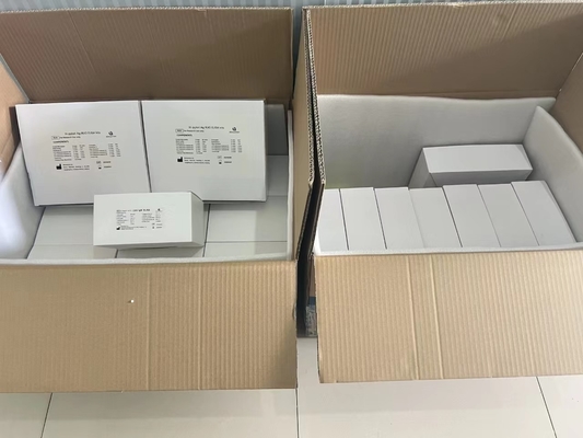 H 피로리 ELISA 테스트 키트 480테스트/키트 엘리사 스크리닝 키트 결과