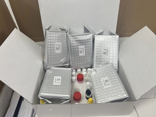 11- 디히드로 트롬보잔 B2 11dhTxB2 ELISA 테스트 키트 IVD 높은 정확성 및 간단한 조작