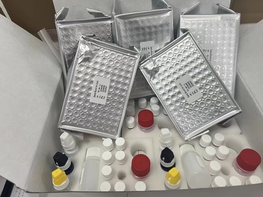 11- 디히드로 트롬보잔 B2 11dhTxB2 ELISA 테스트 키트 IVD 높은 정확성 및 간단한 조작