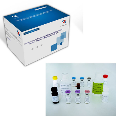 장수기간과 2C-8C 보존 방법의 TB-IGRA ELISA 테스트 키트