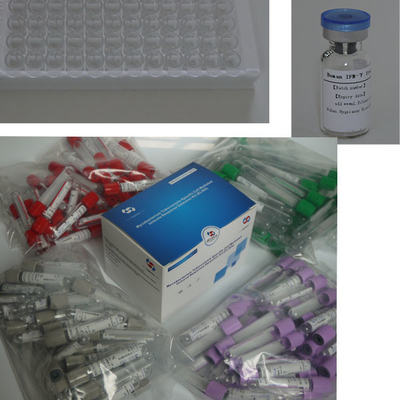 장수기간과 2C-8C 보존 방법의 TB-IGRA ELISA 테스트 키트