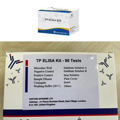 남성과 여성 감염 고심병 TP Ab 항체 ELISA 테스트 키트