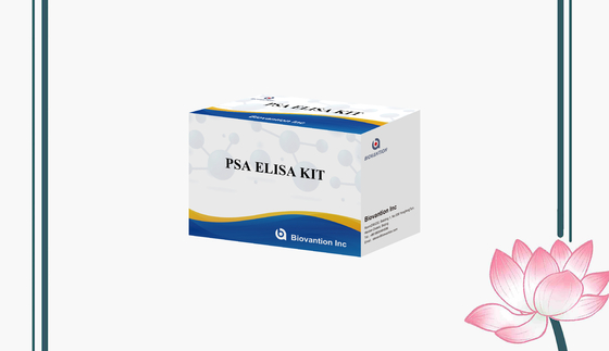 인간 PSA ELISA 키트 | 고감도 정량 분석 벌크 OEM