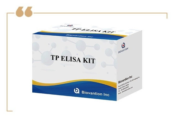 96T 검출 용액 시필리스 항체 효소 연결 면역 검사 ELISA 테스트 키트