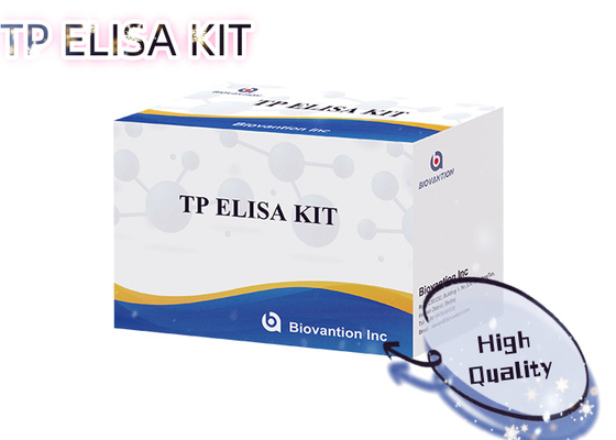 96T 검출 용액 시필리스 항체 효소 연결 면역 검사 ELISA 테스트 키트
