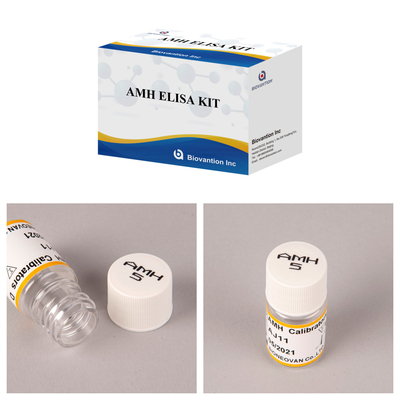 안티뮬러 호르몬 AMH 면역 효소 분석 Elisa AMH 테스트 키트